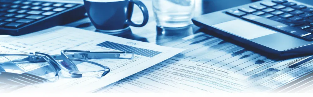 Налоговый учет и налоговое консультирование