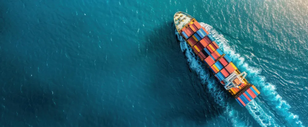 Услуги таможни, логистики и международной торговли